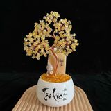 Cây Tài Lộc Thạch Anh 28cm 