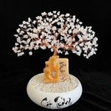  Cây Tài Lộc Thạch Anh 40cm 