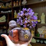  Cây Tài Lộc Thạch Anh Chú Tiểu 18cm 