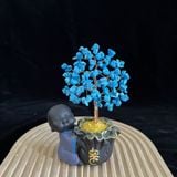  Cây Tài Lộc Thạch Anh Chú Tiểu 18cm 