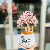  Cây Tài Lộc thạch anh hồng Tài lộc - Bình an 