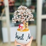  Cây tài lộc Thạch anh trắng Tài lộc - Bình an 