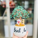 Cây Tài Lộc  thạch anh xanh Tài lộc - Bình an 