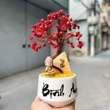  Cây Tài Lộc Thạch Anh Jasper đỏ Tài lộc - Bình an 