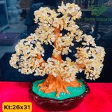  Cây Tài Lộc Thạch Anh Đế sen 