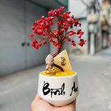  Cây Tài Lộc Thạch Anh Jasper đỏ Tài lộc - Bình an 