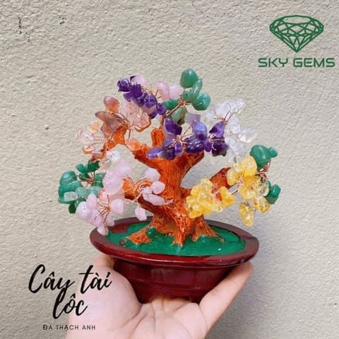  Cây Tài Lộc Thạch Anh Ngũ sắc 15cm 