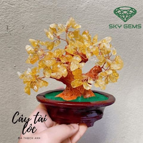  Cây Tài Lộc Thạch Anh Vàng 15cm 