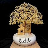  Cây Tài Lộc Thạch Anh 38cm 