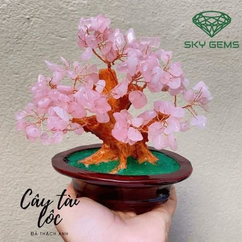  Cây Tài Lộc Thạch Anh Hồng 15cm 