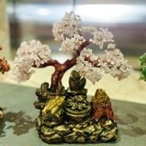  Cây Tài Lộc Thạch Anh Hồng Thiềm Thừ Chầu Tụ Bảo 