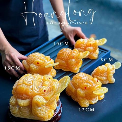 Cóc Thiềm Thừ Ngọc Hoàng Long 8-15cm