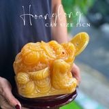  Cóc Thiềm Thừ Ngọc Hoàng Long 8-15cm 