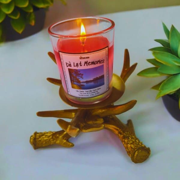  Nến Thơm Hương Gỗ Đàn Hương 100g 
