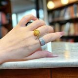  Nhẫn Tỳ Hưu Thiên Lộc Bọc Vàng Thân Kim Tiền 