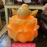  Phong Thủy Luân Hoa Sen 