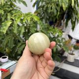  Quả Cầu Onyx Xanh 5.2cm 