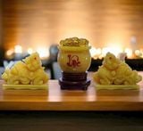  Set Tài Lộc Tỳ Hưu Chầu Bát Tụ Bảo 