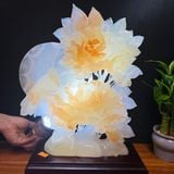  Tác Phẩm Hoa Mẫu Đơn Ngọc Onyx 