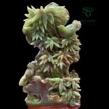  Tác Phẩm Khóm Trúc Ngọc Onyx Xanh 51x34cm 