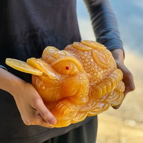 Thiềm Thừ Ngọc Hoàng Long 20cm