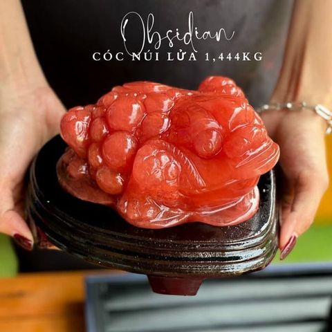 Thiềm Thừ Núi Lửa Đỏ Obsidian