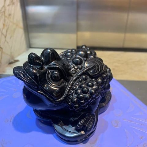 Thiềm Thừ Onyx Đen 2.1kg
