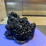  Thiềm Thừ Onyx Đen 2.1kg 
