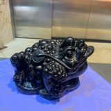  Thiềm Thừ Onyx Đen 2.1kg 