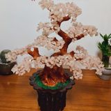  Cây Tài Lộc Thạch Anh Hồng 45cm 