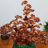  Cây tài lộc mã não đỏ M2 
