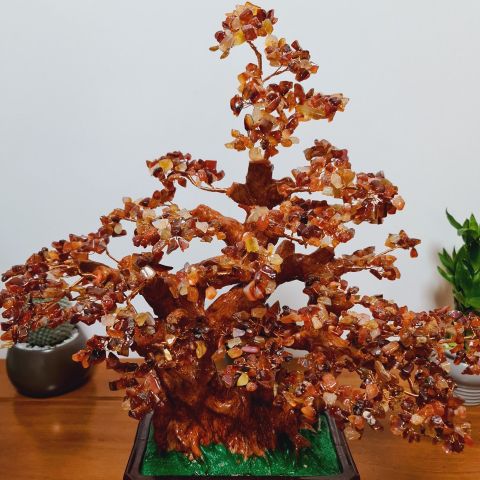  Cây tài lộc mã não đỏ M2 