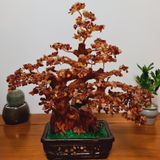  Cây tài lộc mã não đỏ M2 