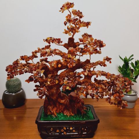  Cây tài lộc mã não đỏ M2 