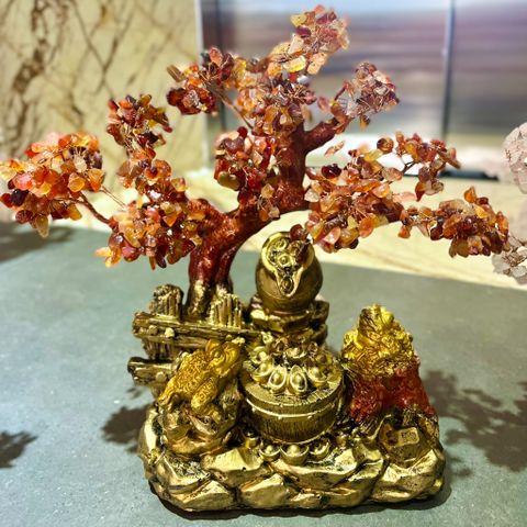  Cây tài lộc Mã não đỏ M3 