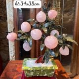  Cây Đào Thạch Anh Hồng 9 quả 38cm 