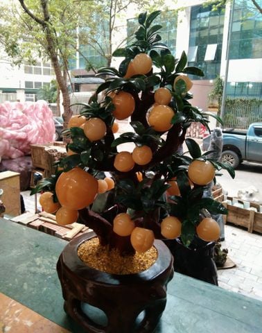 Cây Đào Tài Lộc Ngọc Hoàng Long 38 Quả Chậu Tròn