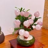  Cây Đào Thạch Anh Hồng 18 quả 24cm 