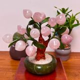  Cây Đào Thạch Anh Hồng 18 quả 24cm 