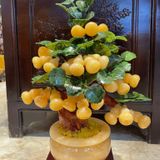  Cây Hồ Lô Tài Lộc Ngọc Hoàng Long 
