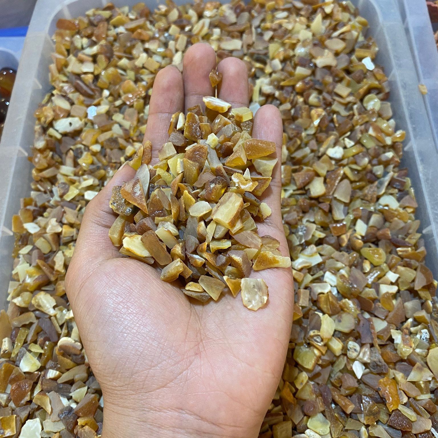  Hổ Phách Vụn Size Nhỏ 