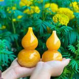  Hồ Lô Ngọc Hoàng Long 12 - 15cm 