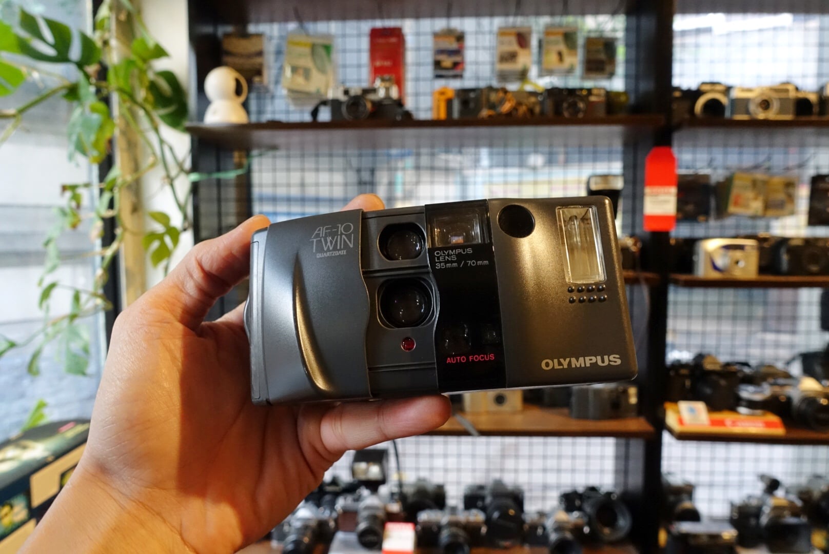Olympus AF10 Twin – Thường Xanh Film Store
