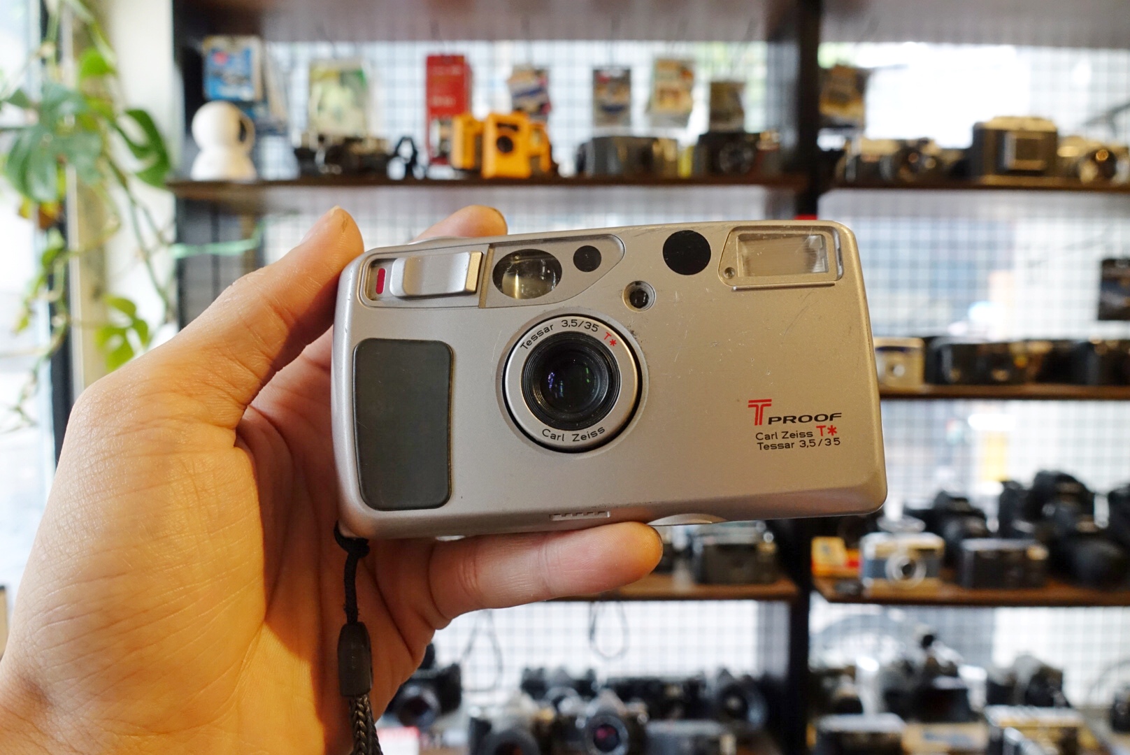 Yashica T5 / T Proof – Thường Xanh Film Store