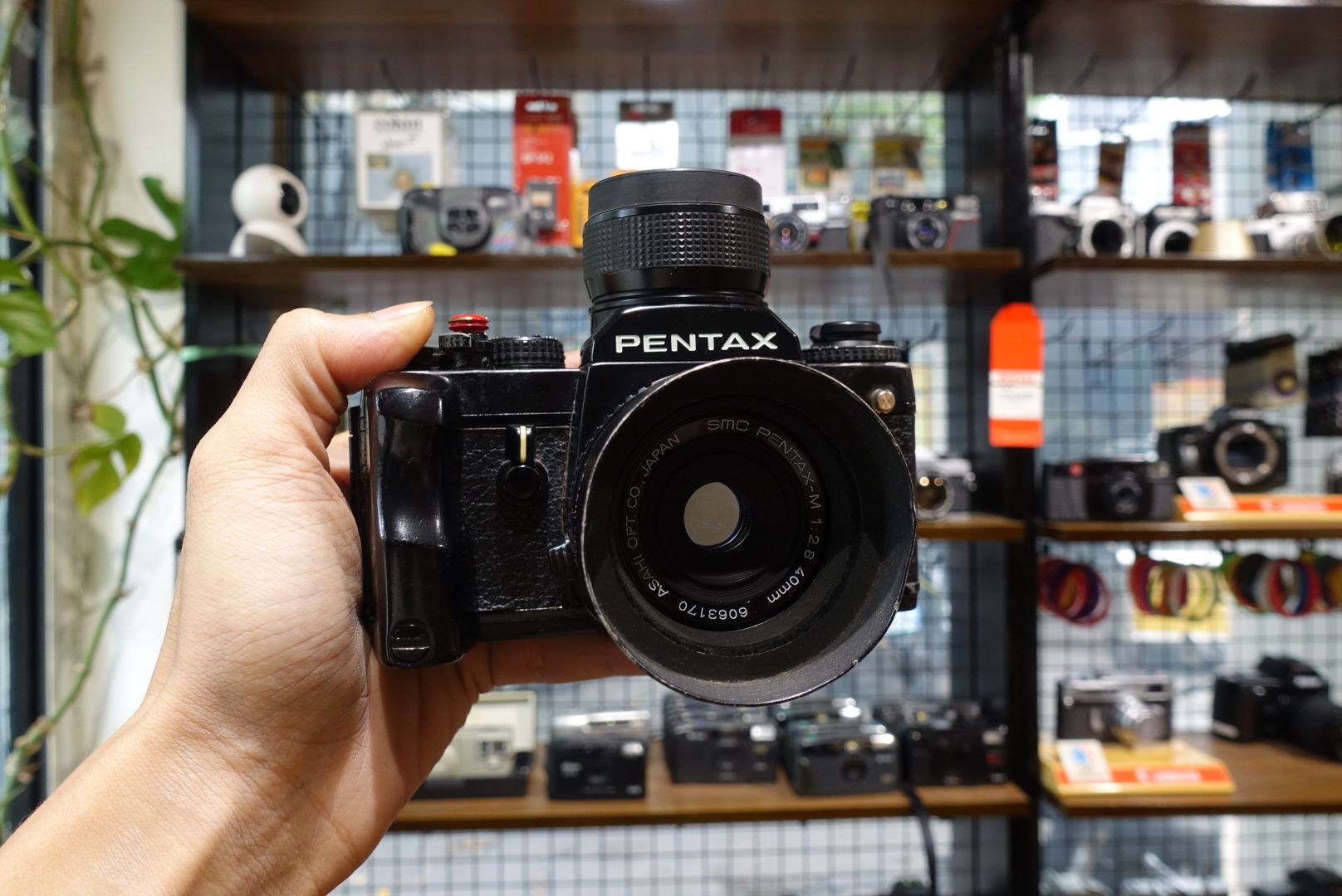  Pentax LX / Pentax M SMC 40mm f2.8 