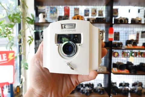  Olympus Écru Limited 