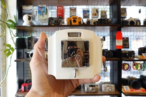  Olympus Écru Limited 