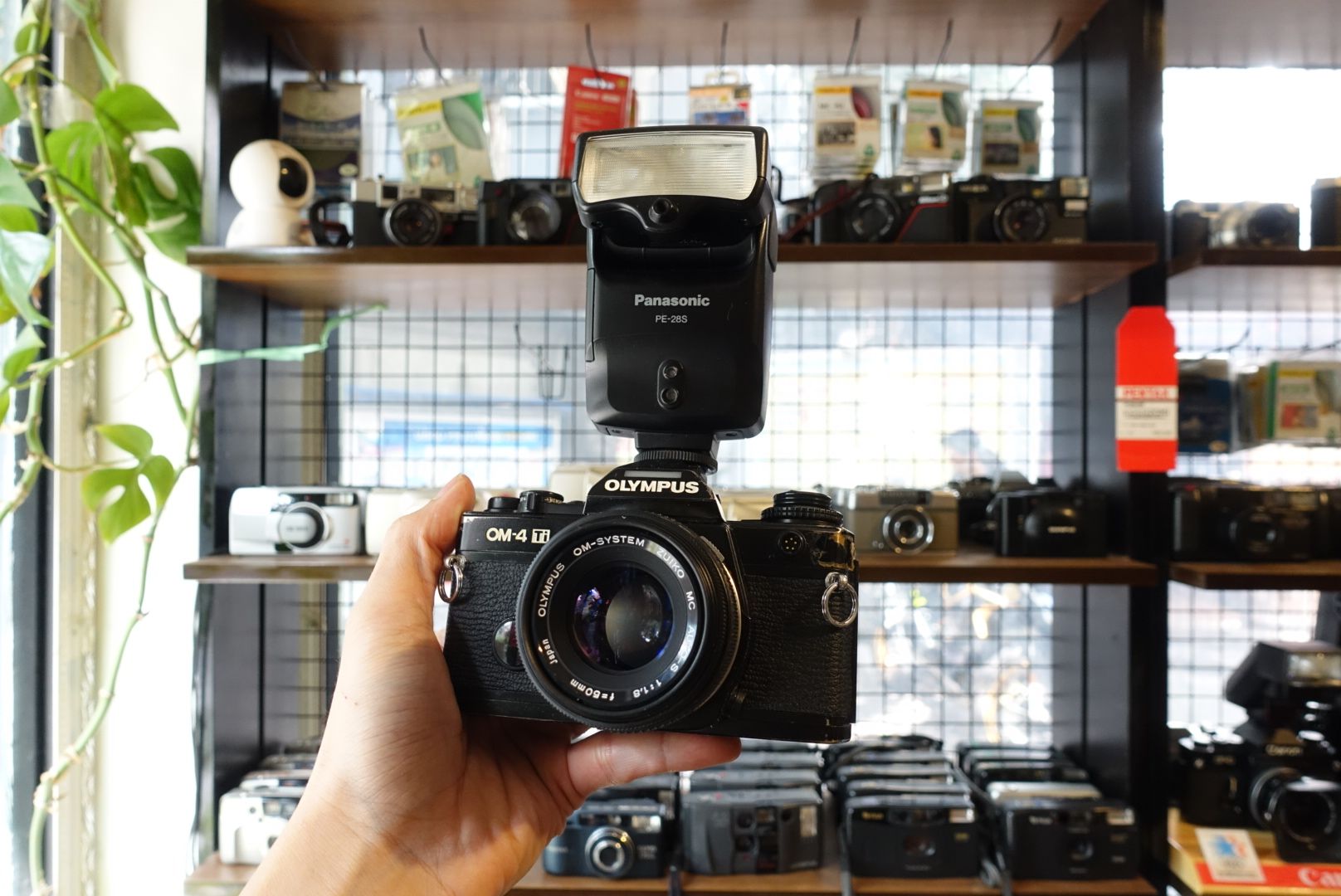  Olympus OM4 Ti / Zuiko 50mm và 28mm 