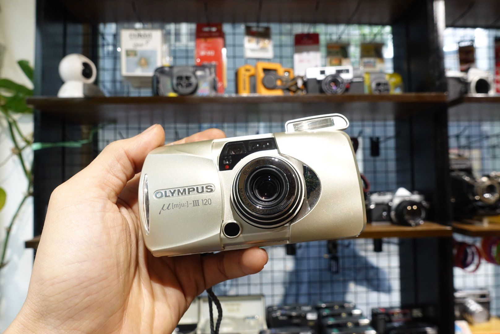  Olympus Mju IIi 120 