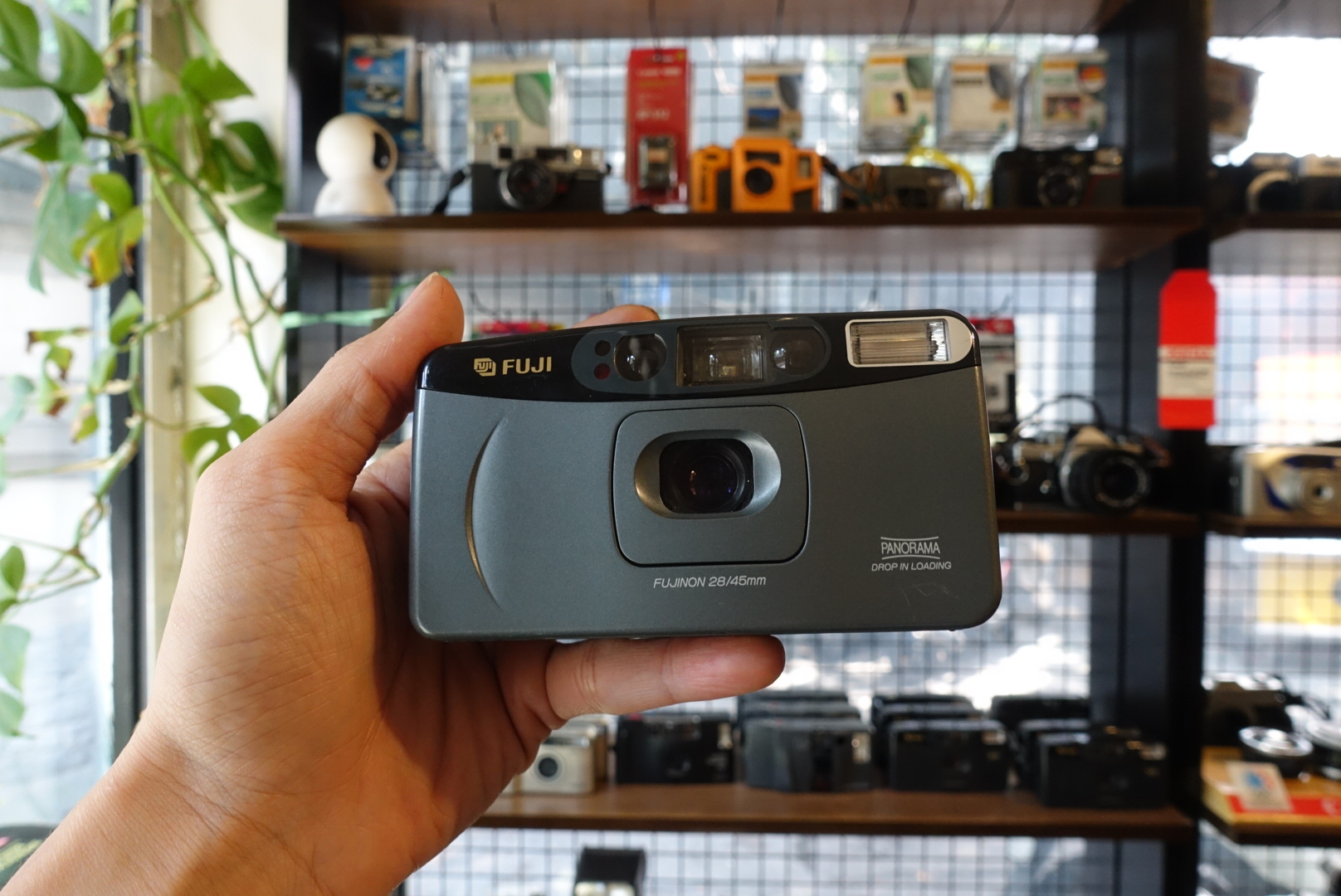 Fuji Cardia Mini Everyday OP – Thường Xanh Film Store